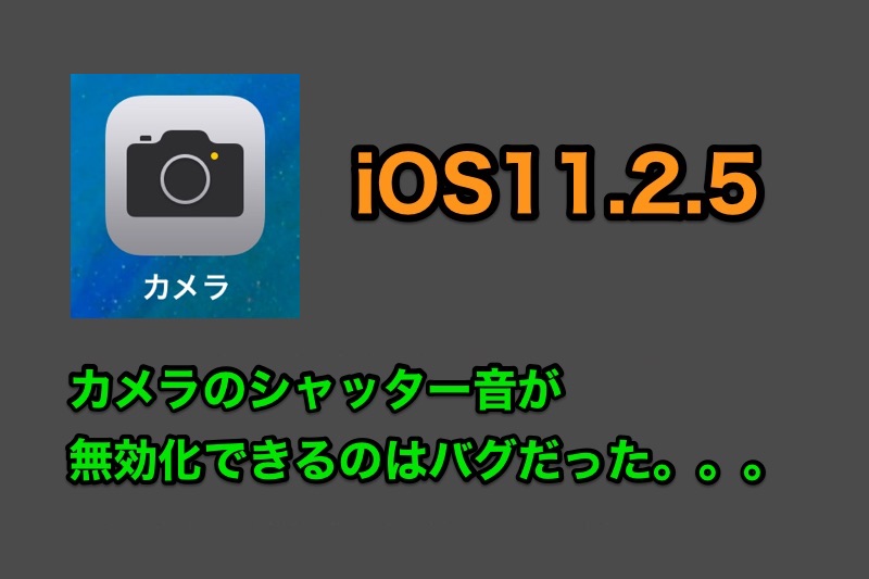 iOS11.2.5でカメラのシャッター音が消せるのは不具合だったことが判明！iOS11.2.5 beta4で修正される
